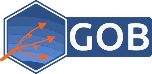 Grupo de Óptica Biomédica (GOB)